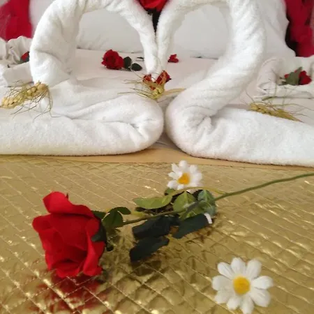 Eser * Ayaştürkmenli